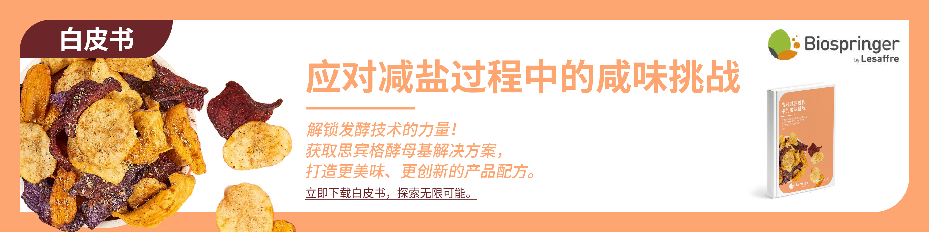 榮格工業(yè)-思賓格白皮書