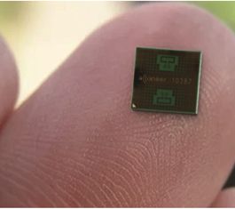 任重道远 生物量传感器较为依赖进口