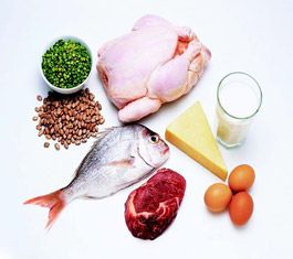 有效改善肠道健康的食品成分