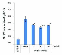 头皮“控油”技术的三大组成部分