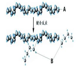 聚合物抗有害微生物材料的种类与发展的新突破
