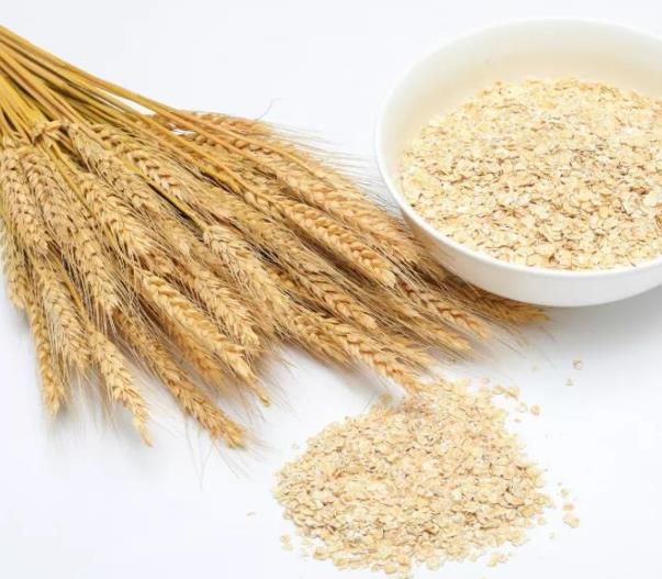 小麦胚芽提取物，一种富含亚精胺的新型食品