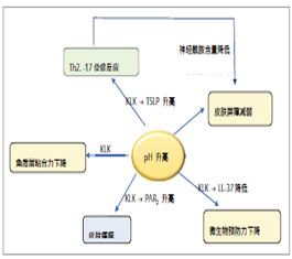 个人护理品对湿疹皮肤改善的研究进展