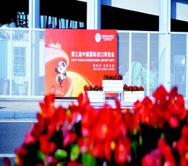 “塑眼”观进博