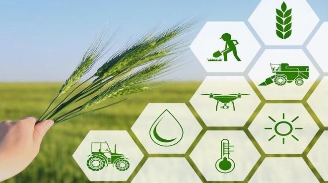 食品供应链关系到食品安全 如何借助数字技术维护供应链安全?