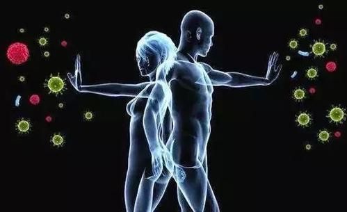 构免疫屏障  造健康防线