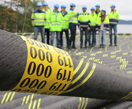 耐克森：构建新的电气化世界 强化海上风电市场地位