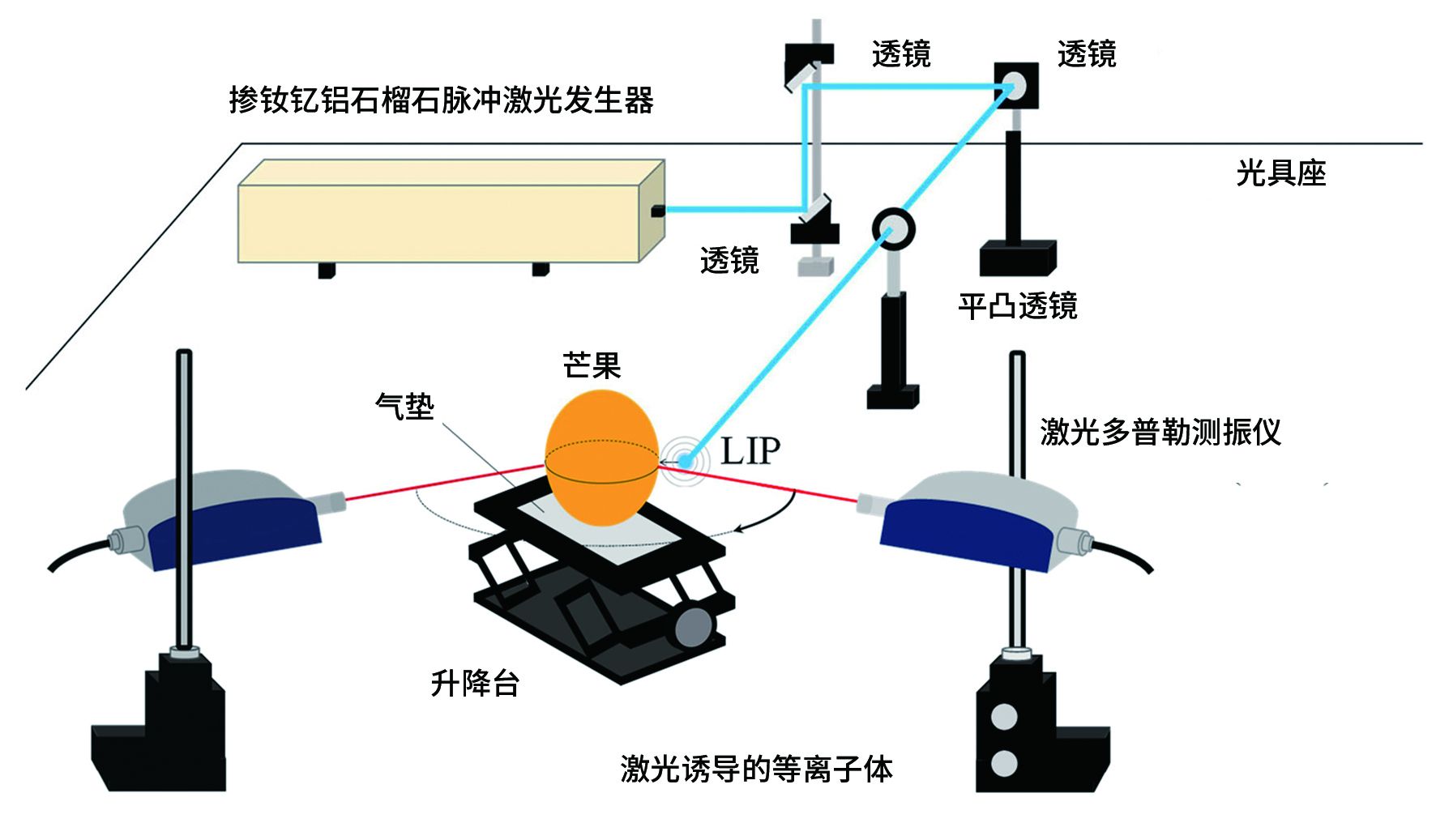 激光技术助力测量软果成熟