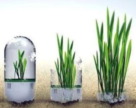 我国原创“生物基可降解聚酯橡胶”通过鉴定