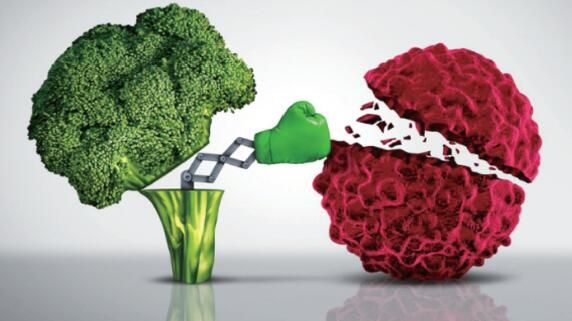 寻找增强免疫力的成分