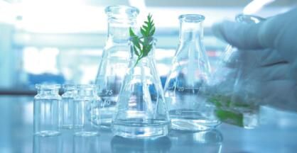 深入了解替代蛋白质