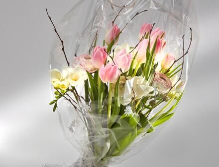 【CHINAPLAS 2021热点】在中国,为中国:科莱恩提升高性能节约型添加剂的本土可及性