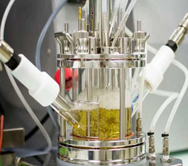 米其林合作生物化学公司Carbios用回收塑料瓶制轮胎