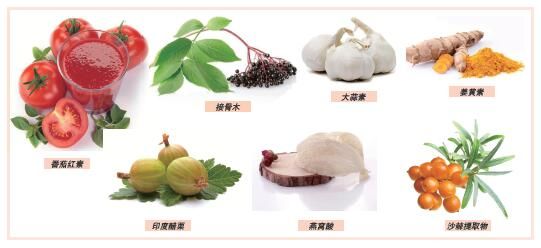 免疫健康配料盘点