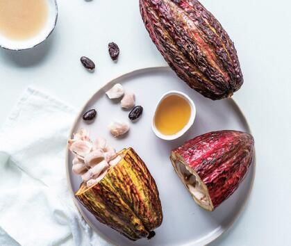 饮料创新趋势： 硬苏打水、热带气息和香草味道