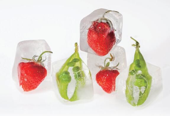 减轻冷冻食品中病原体的风险