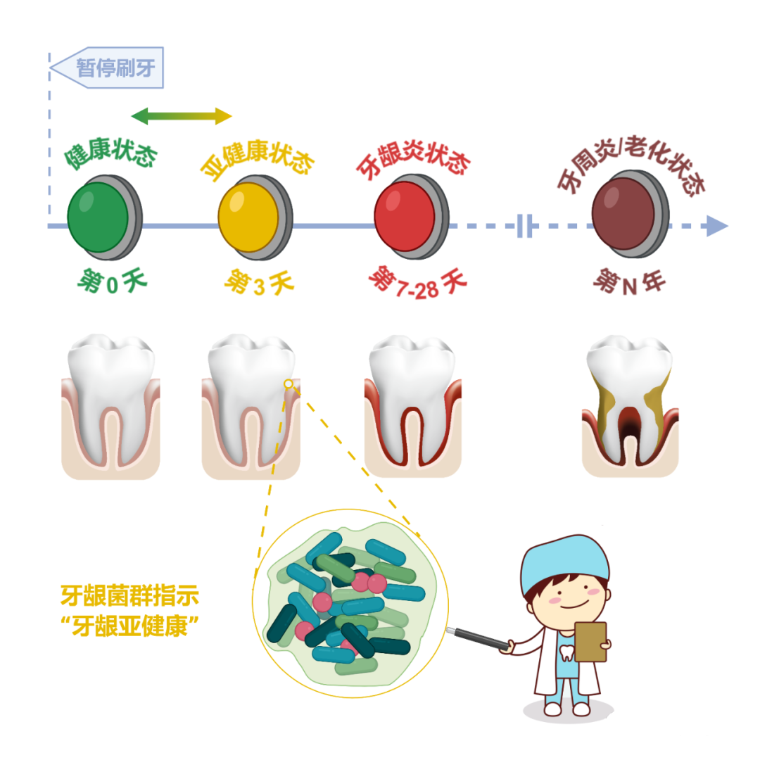 新发现：1个关键致病菌，让牙龈1个月老1岁