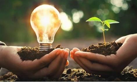 雀巢，三井化学和丰田开展利用100％生物基烃生产可再生塑料的新合作