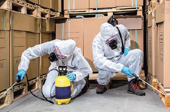 食品加工仓库的病虫害管理