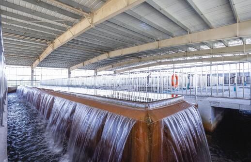 机器学习 在滤水膜维护中的应用