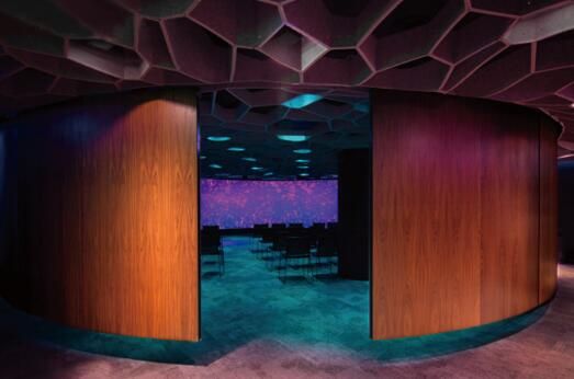 环绕着音乐的碳纤维增强塑料板