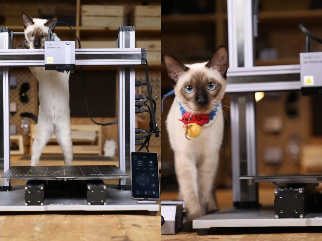 Snapmaker 618年中特惠 X 猫咪DIY创意工坊来袭!