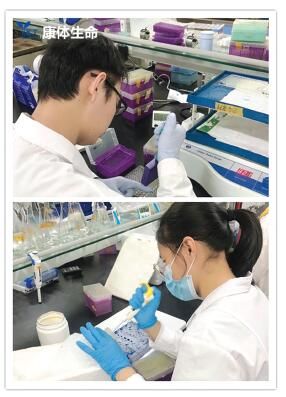 羊驼纳米抗体建库筛选技术 的基本流程