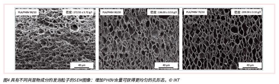 发泡珠粒的生物基聚合物替代