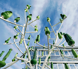 Endress+Hauser在EcoVadis评级中再创佳绩