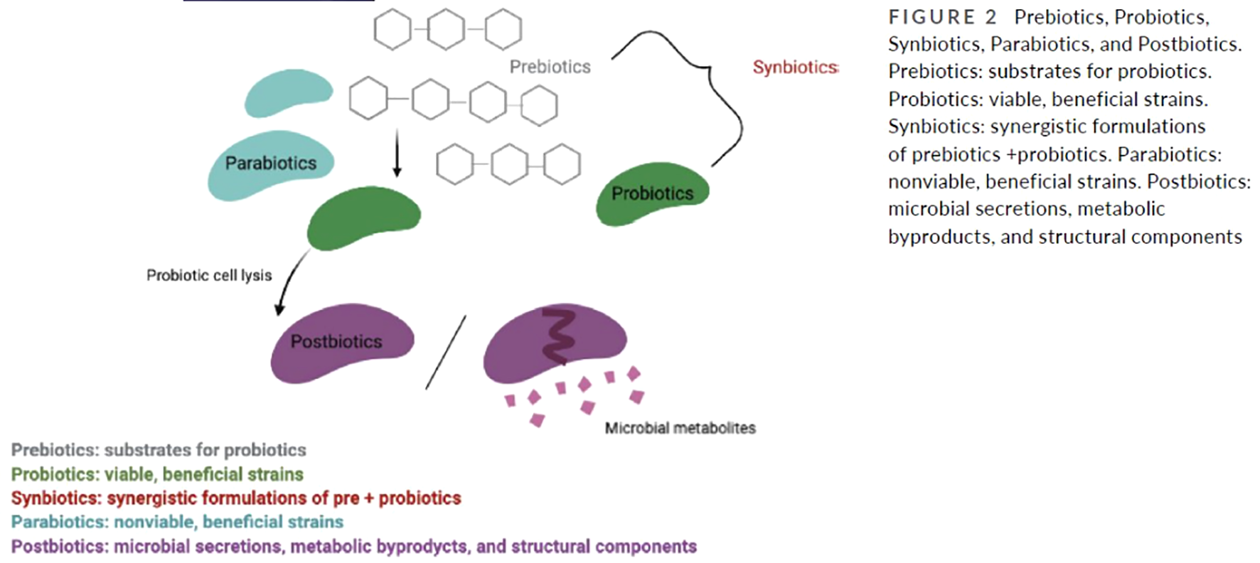 保湿剂的新时代