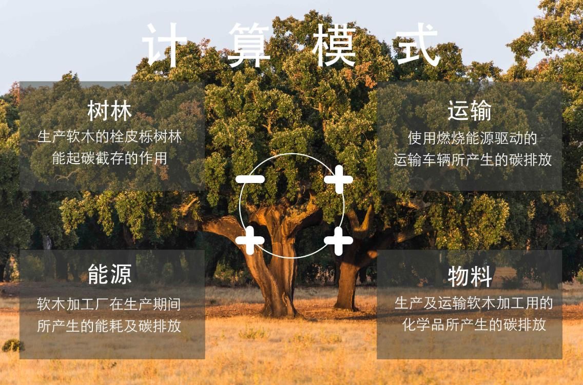 葡萄酒业助力中国实现碳中和：选用天然软木塞