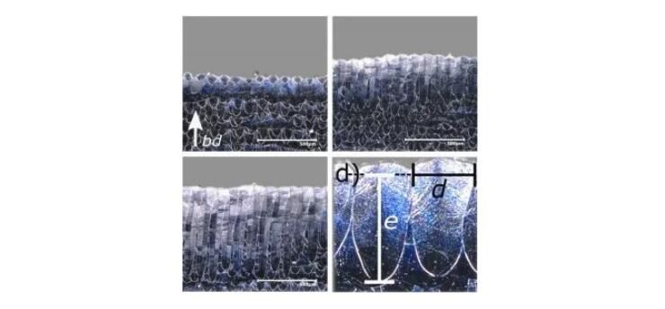 高像素相机精确监控L-PBF过程熔池变化