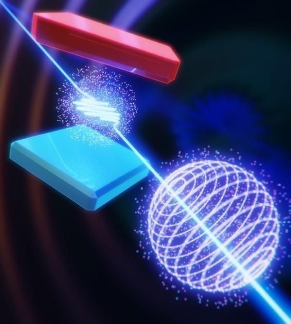 上海光源中心实验揭示自由电子激光的物理过程