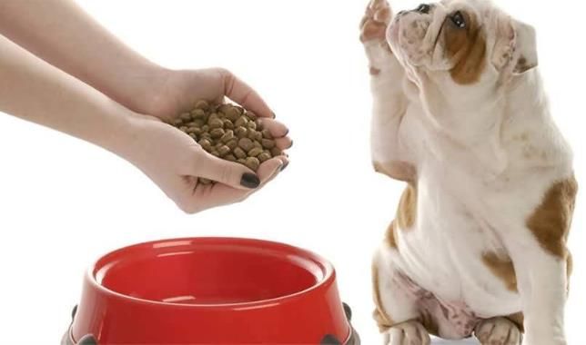 瞄准数十亿美元的中国宠物食品可追溯性市场