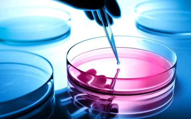 精密的细胞培养，可以“全自动”了