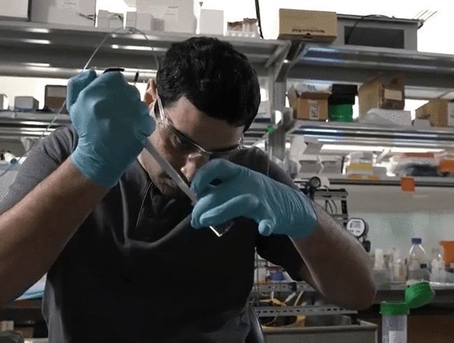 美国大学研究人员发明使用糖和激光3D打印血管