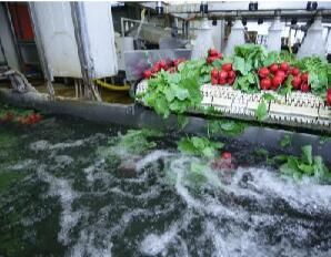 沃森马洛在食品工业的工艺水 和污水处理中的应用