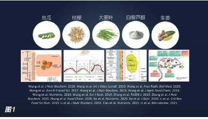 果蔬成分与肠道健康的关系