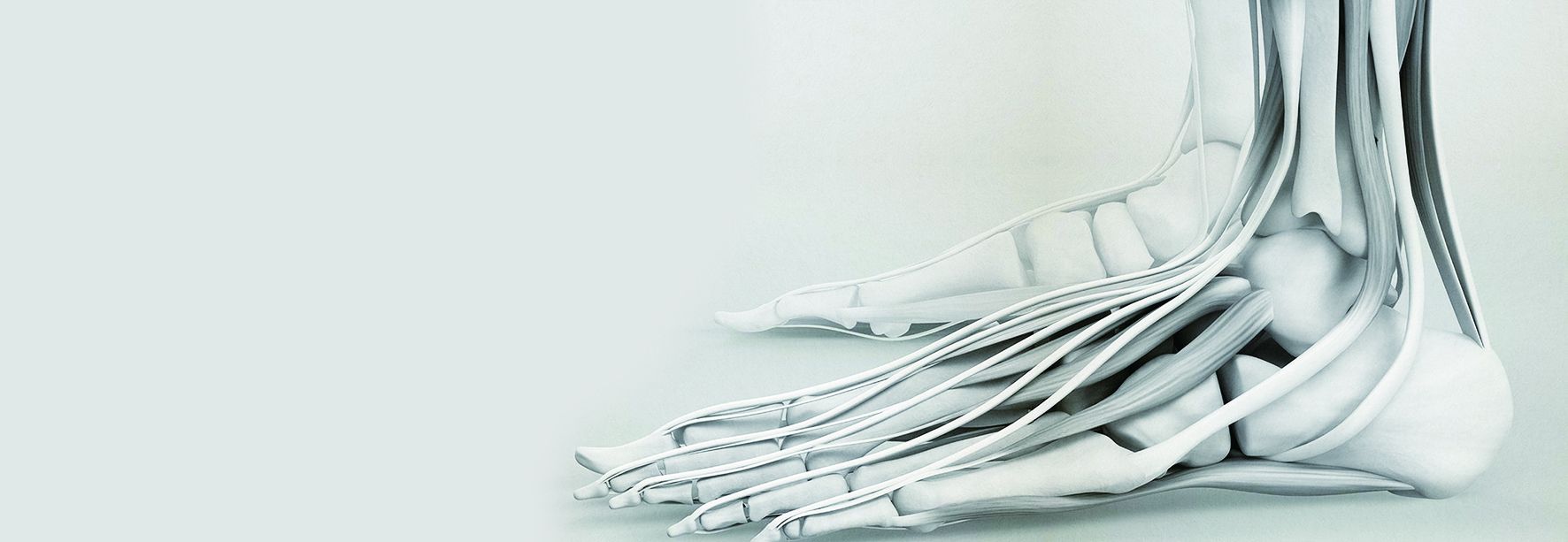 可吸收聚合物支架助力肌腱和韧带重建