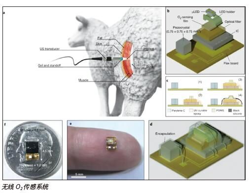 体积更小、探测更深的植入物 为人体内部监测打开大门