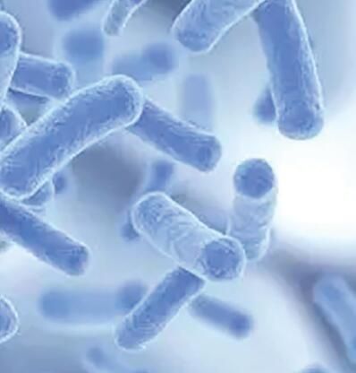 肠道微生物组和消化系统中的“抗衰”启迪