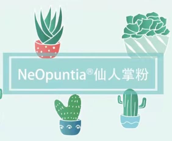 让大餐的脂肪绕道而行：NeOpuntia®梨果仙人掌粉