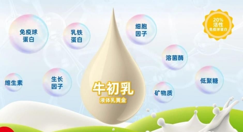 益生菌+牛初乳：如何打造功能食品的“新双打”范式？