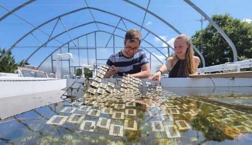 超乎想象：阳光可以将海洋塑料分解成数万种化合物，且比预期的更快