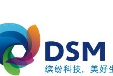 帝斯曼工程材料携手雷诺打造业内前沿创新轻量汽车油箱，助力大幅提升燃油能效