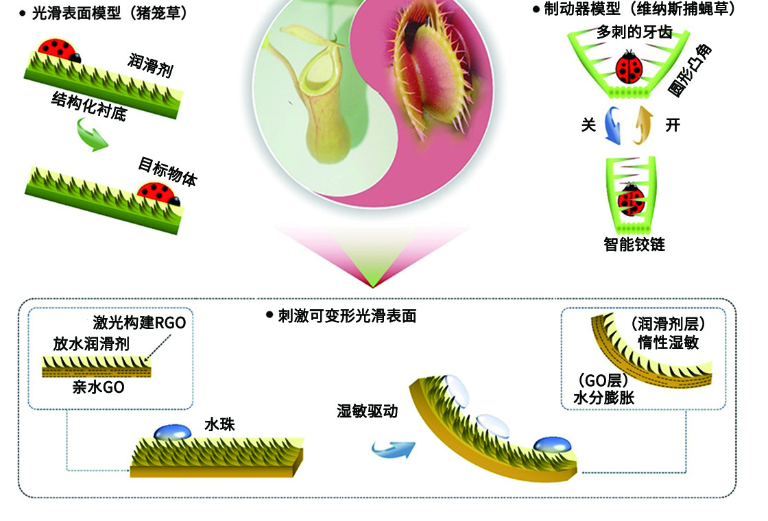中国科研团队开发基于超快激光技术的混合智能表面
