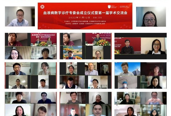乘势而上，聚势而强，血液病数字诊疗专委会正式成立