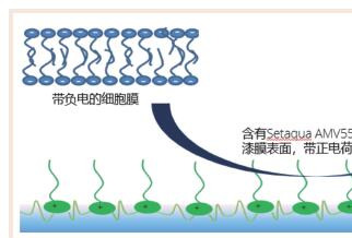 水性环氧抗病毒涂料在工业上的应用研究