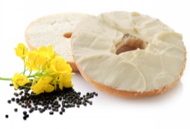 帝斯曼推出不含主要过敏原的完整植物蛋白Vertis™ CanolaPRO®