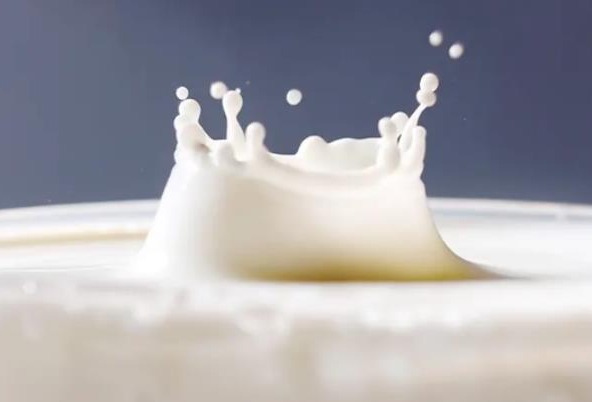 天猫乳制品行业发布白皮书：看3大细分赛道，4大消费新趋势